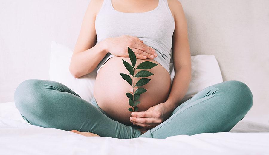 Schwangere Frau in bequemer Yoga Kleidung hält sich den Bauch und hält einen grünen Zweig davor.